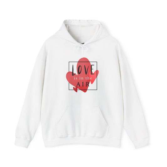 Love In The Air Unisex Heavy Blend™ Hooded Sweatshirt